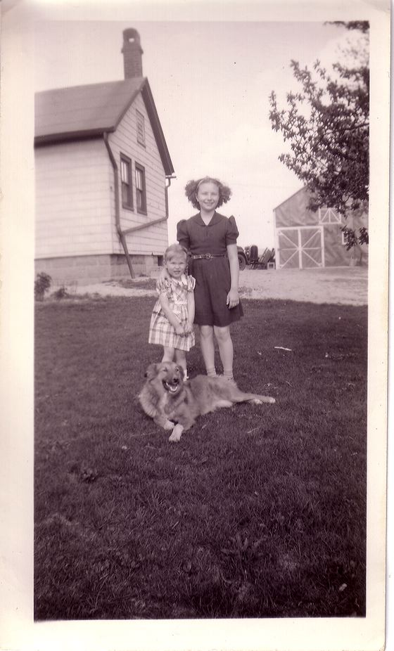 scan0024.jpg