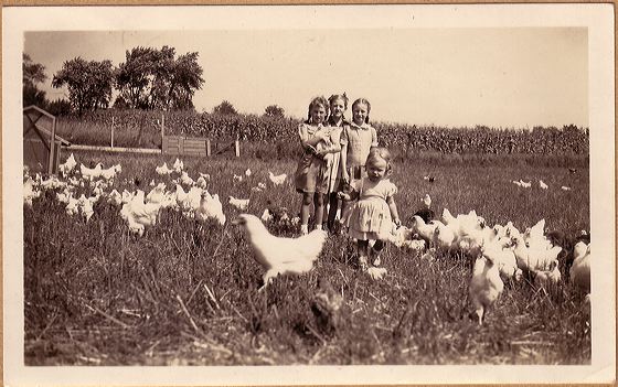 scan0058.jpg