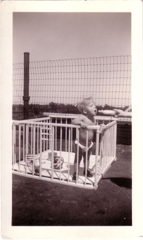 roof-pen.jpg