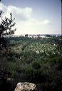 1985-israel-0006