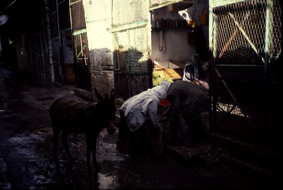 1985-israel-0047.jpg
